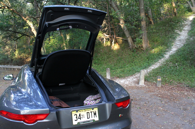 Trunk, with two messenger bags for size. Photo credit: Stef Schrader